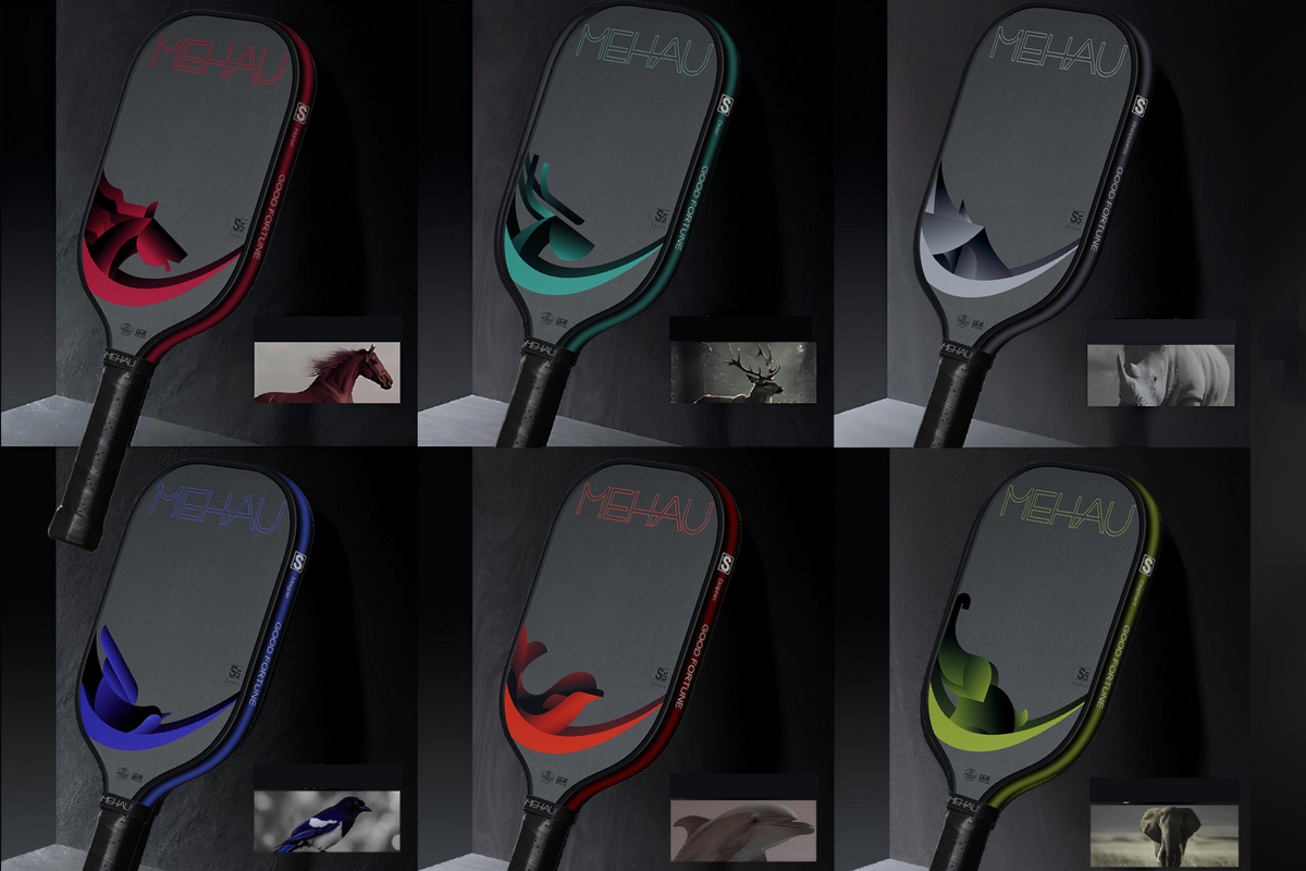 Six pickleball paddle designs displayed together showing different style variations